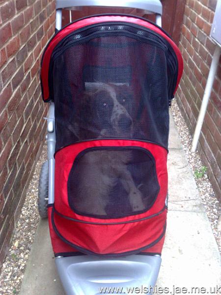 2010-08-29 02.jpg - I have so much visibility with the front up